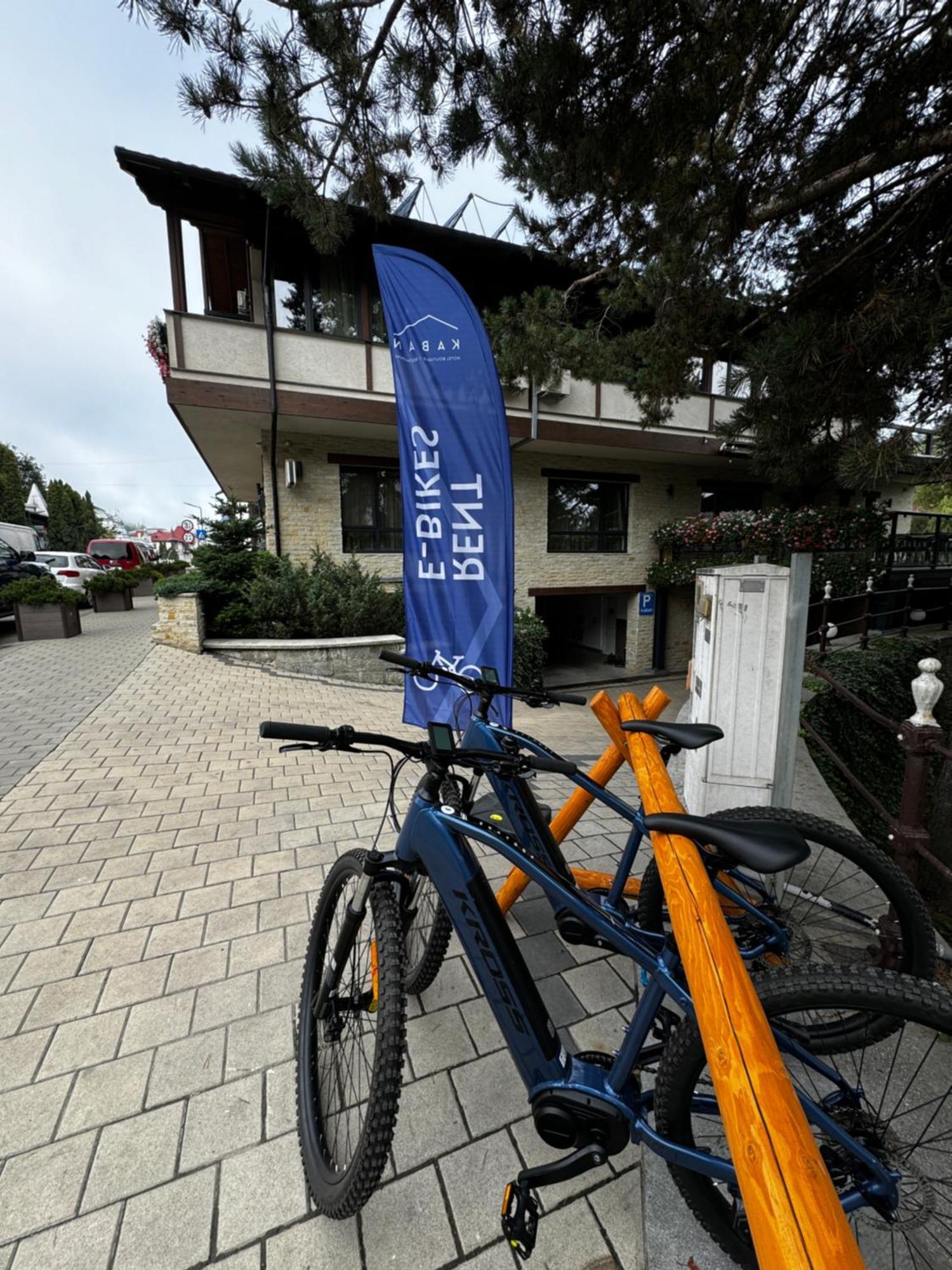 Kaban Boutique - 5Star Central Villa In Vatra Dornei Dış mekan fotoğraf